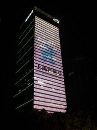 世博会大型显示屏led照明工程竣工