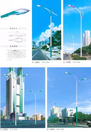 南京照明 盛景华成工程照明 路灯 18